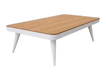 Liva Billiard Table