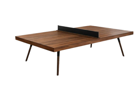 Table Tennis Singapore