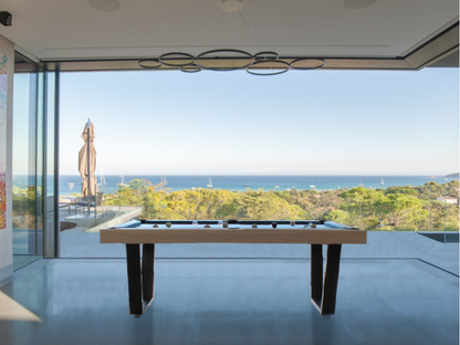 IRON Billiard Table