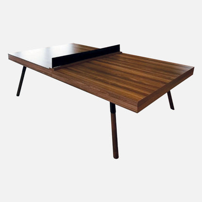 Table Tennis Singapore